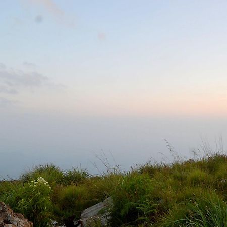 Olive Hill Top Hotel Haputale Ngoại thất bức ảnh
